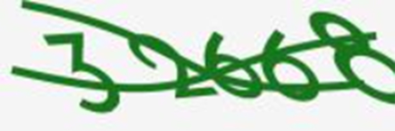 giải Captcha Image To Text loại khác 1