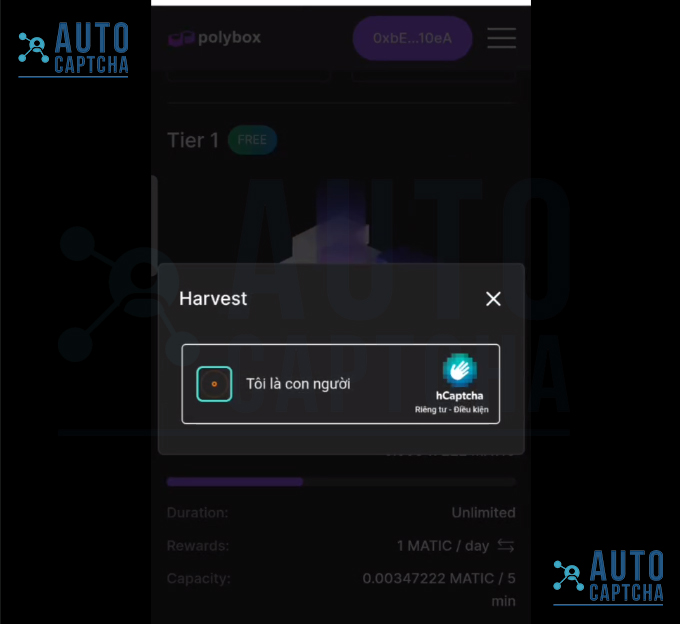 Giải hCaptcha trên polybox.finance Giải hCaptcha trên polybox.finance